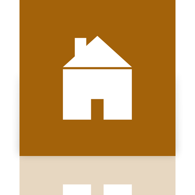 home,network,mirror icon