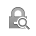 lock,zoom icon