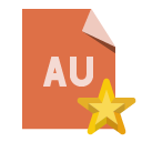 file,format,star icon