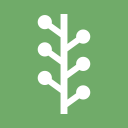 newsvine svg vector icon