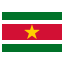 suriname icon