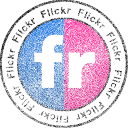 flickr icon