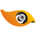 acdsee icon