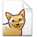 cat, file icon