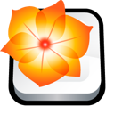 adobe, illustrator icon