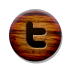 twitter icon