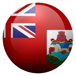 bm icon