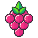 berries, game, go, play, pokemon svg vector icon