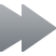 fast,forward icon