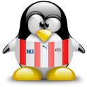 paraguay,penguin,animal icon