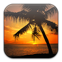 picture,photo,pic,image icon