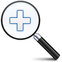 in, zoom icon