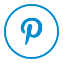circle, connection, network, pinterest, social svg vector icon