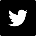 media, social, square, twitter svg vector icon