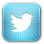 twitter icon