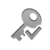 key,checkmark icon