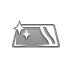 gold icon