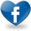 facebook,social,social network,sn icon