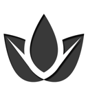 14 icon