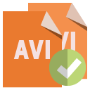 file,format,avi,checkmark icon