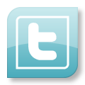 twitter icon