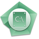 c icon