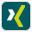 xing icon