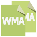 file,format,wma icon