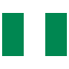 ng icon