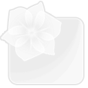 illustrator icon