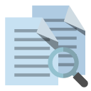 copy,zoom icon