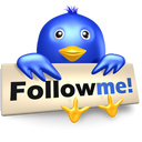 bird, follow, me, social media, symbol, twitter icon