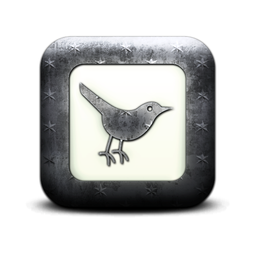 twitter,bird,square,animal,social network,social,sn icon