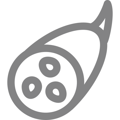 The Lotus Root svg vector icon