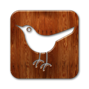 twitter,bird,square,animal,social network,social,sn icon