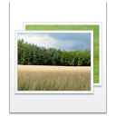 picture,photo,pic,image icon