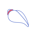 line, sangu, sea shell, shell, spiritual svg vector icon
