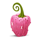 pepper, pink icon