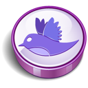 bird, twitter icon