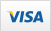 visa,straight,credit card icon