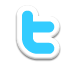 twitter icon
