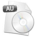 filetype,au icon
