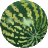 water,melon icon