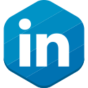 linkedin, professional network, social network svg vector icon