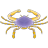 cancer icon