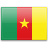 cameroon,flag,country icon