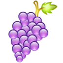 grape,fruit icon