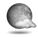 29 icon