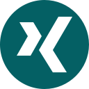 logo, social, social media, social network, xing svg vector icon