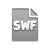 file,format,swf icon
